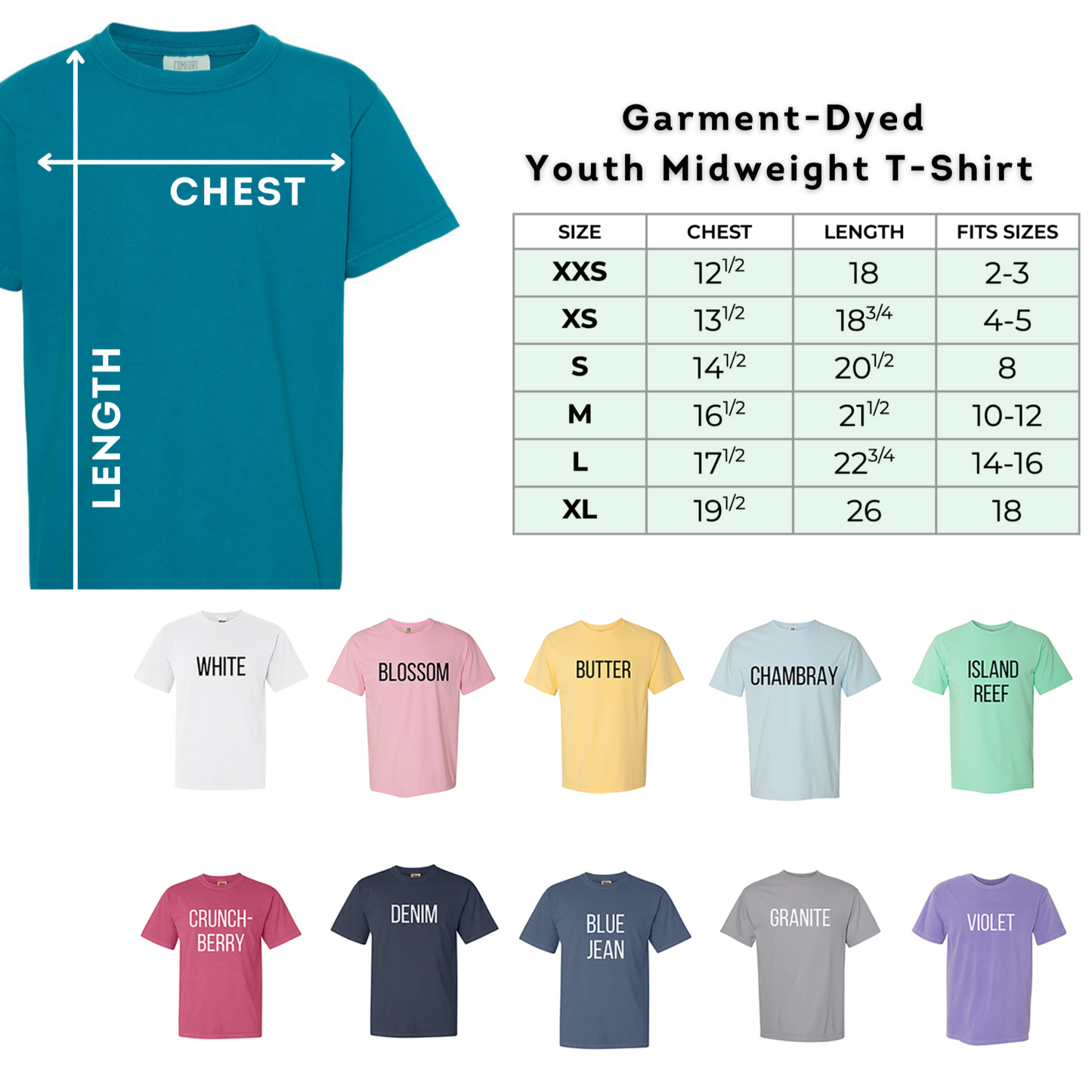 Elephant Youth t-shirt, rainbow elephant shirt, youth comfort colors shirt, autism youth tshirt, Elephants on Parade t-shirt