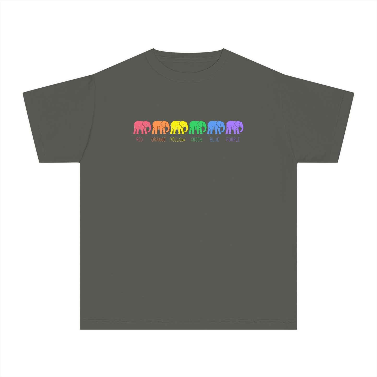 Elephant Youth t-shirt, rainbow elephant shirt, youth comfort colors shirt, autism youth tshirt, Elephants on Parade t-shirt